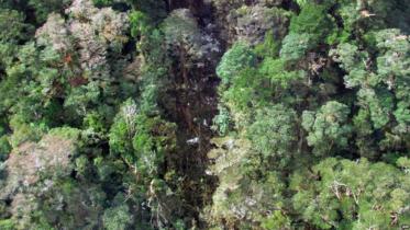 Indonesia plane crash