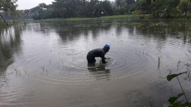 Patuakhali.jpg