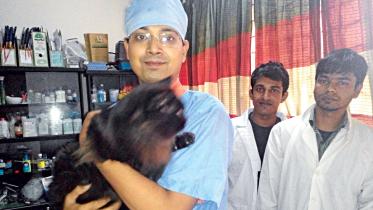 pets-doctor0.jpg