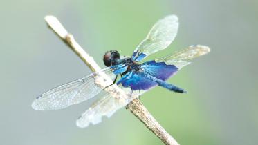 photography exhibition.jpg