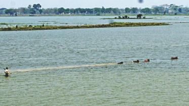 Plight of haor people