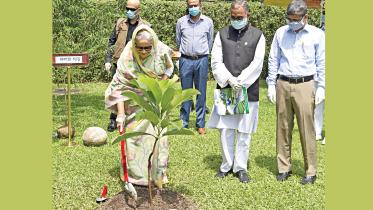 pm-Hasina.jpg