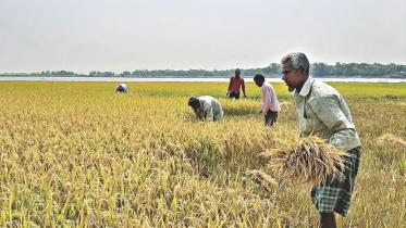 poor-North-Bangladesh-victims-Covid-19.jpg