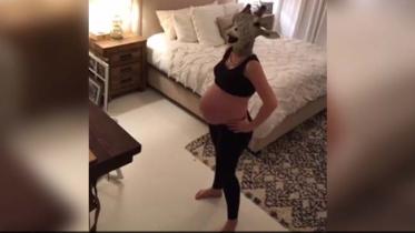 pregnant-giraffe-spoof.jpg