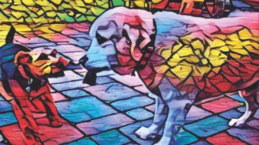 prisma