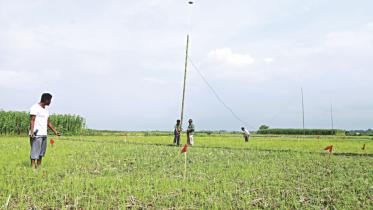 Protecting farmers lightning.jpg