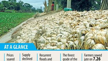 Raw-jute.jpg