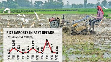 rice-import.jpg