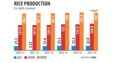 Rice Production.jpg