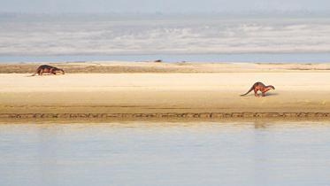 river country of Bangladesh 1.jpg