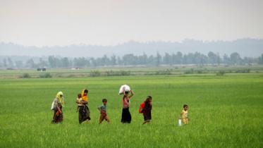 Rohingya-4.jpg