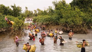 rohingya crisis.jpg