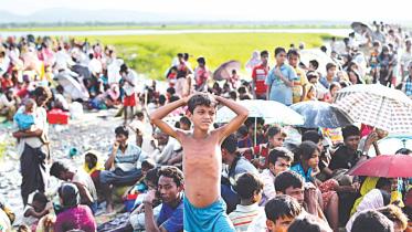 Rohingya influx again