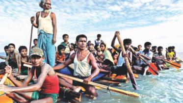 rohingya refugees.jpg