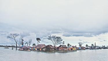 Rural households 1.jpg