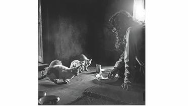 s m sultan tribute.jpg