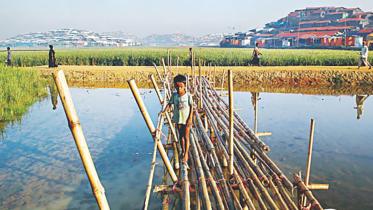 A Rohingya boy