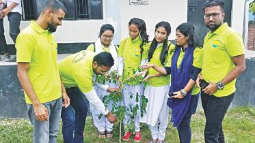 Shawpnodana A dream.jpg