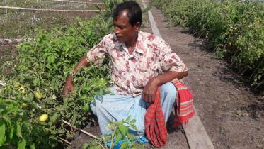 Shibu Pada agro entrepreneur 1.jpg