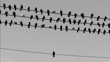 social-unsocial