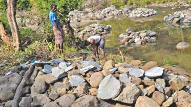 Stop stone extraction.jpg