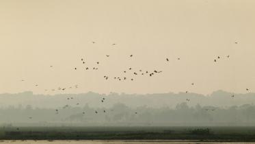 Sunset at Baikka Beel.jpg
