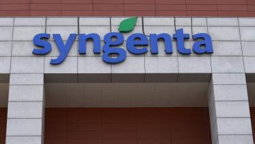 Syngenta.JPG