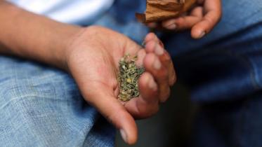 Synthetic-canna-web.jpg