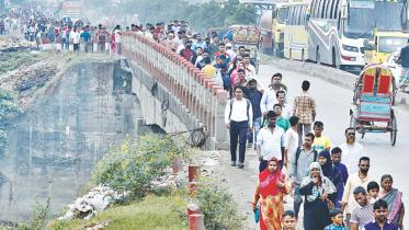 tailbacks 1.jpg