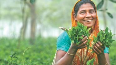 Tea worker