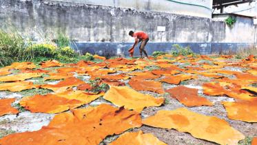 This Time Dhaleshwari