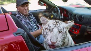 Tiger King.jpg