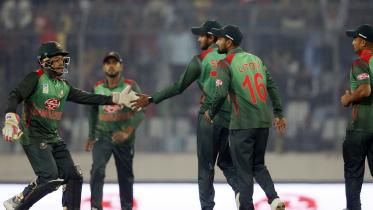 Tigers celebrate a wicket.jpg