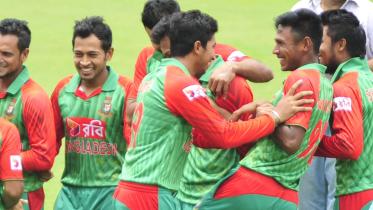 tigers fresh mode.jpg