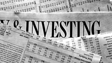 To Save or not to Save in Government Bonds