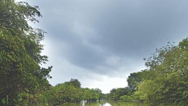 Travel in luxury or on a budget