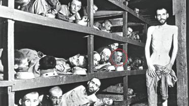 Wiesel 1.jpg