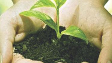 World Environment Day