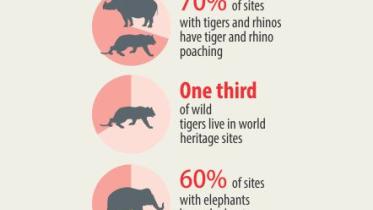 wwf.jpg