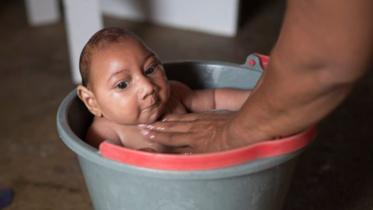 Zika-2-web.jpg