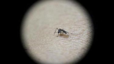 zika-virus.jpg