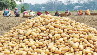 food-security-post-pandemic-bangladesh.jpg