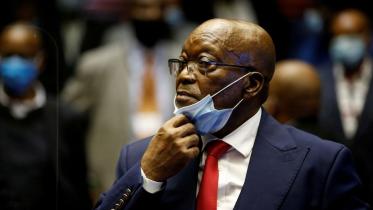 zuma.jpg