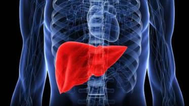 liver-final.jpg