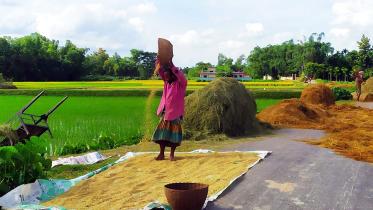 aus-production-sylhet-division.jpg