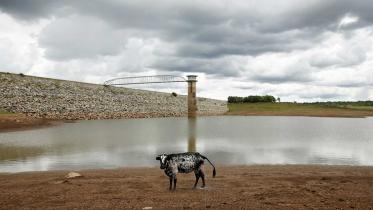 zimbabwe-bolsters-emissions.jpg
