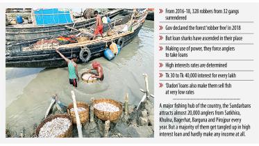 sundarbans-safe.jpg