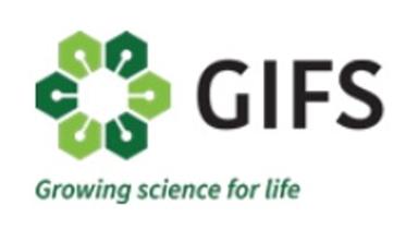 gifs.jpg