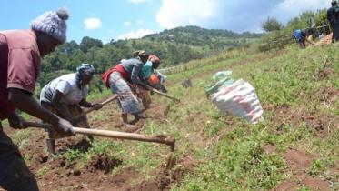 farming-kenya-joyce-629x416.jpeg