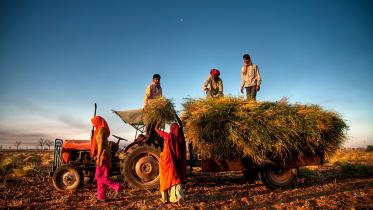istock-agriculture.jpg